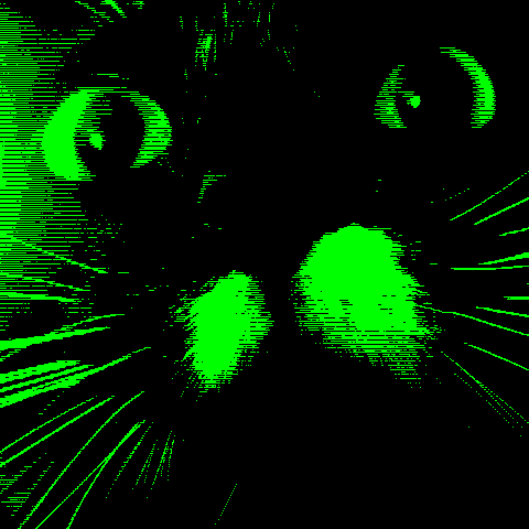 A black cat with a moustache rendered in bright green lines on a black background