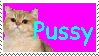 A cat with the caption 'Pussy'